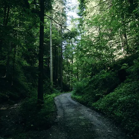 Waldschlucht * Bad Kohlgrub