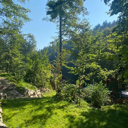 B&B Waldschlucht *